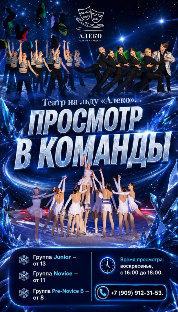 Набор в театр на льду Алеко